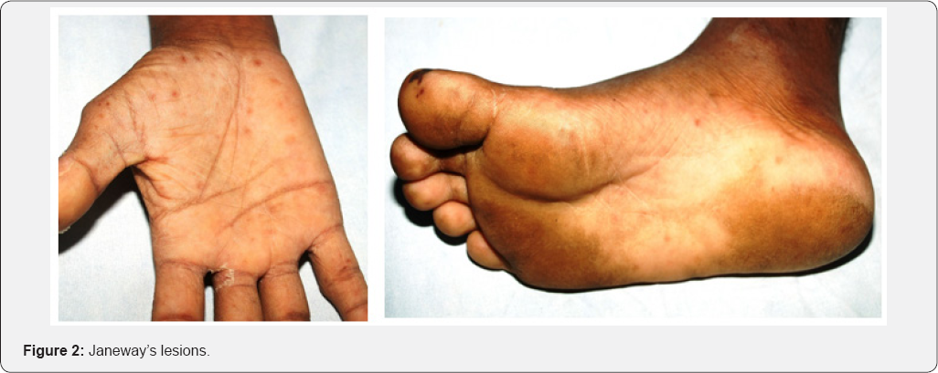 Click here to view Large Figure 2