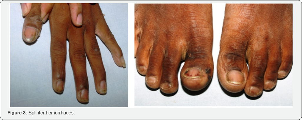 Click here to view Large Figure 3