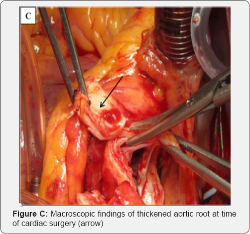 Click here to view Large Figure C