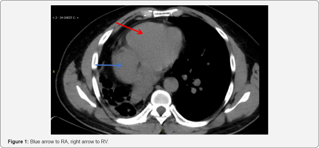 Click here to view Large Figure 1