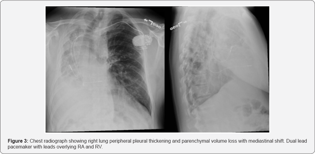 Click here to view Large Figure 3