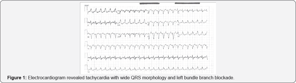 Click here to view Large Figure 1