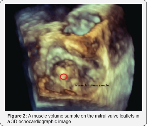 Click here to view Large Figure 2