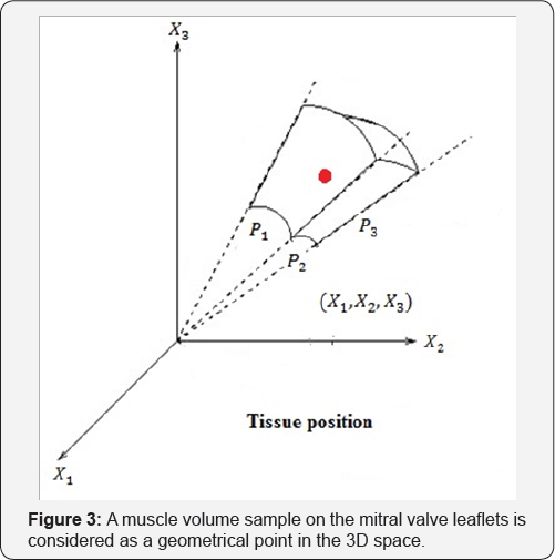 Click here to view Large Figure 3