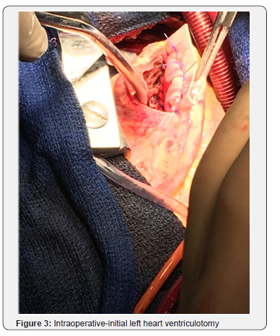 Click here to view Large Figure 3