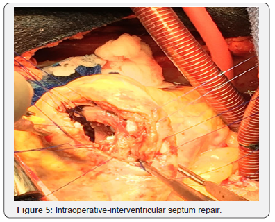Click here to view Large Figure 5