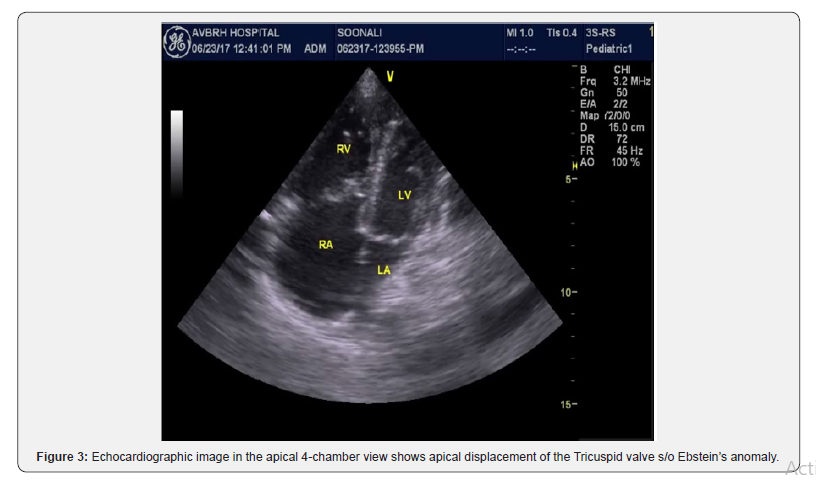 Click here to view Large Figure 3