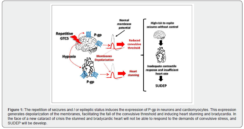 Click here to view Large Figure 1