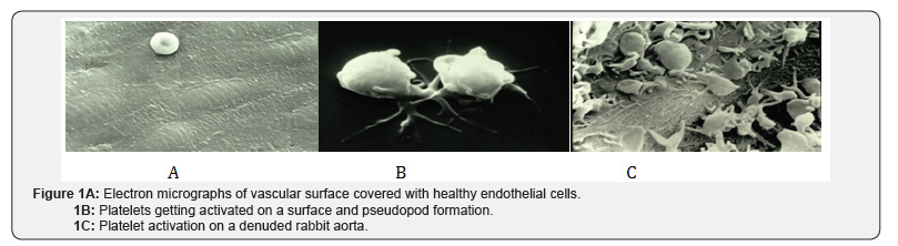 Click here to view Large Figure 1