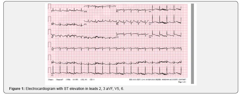 Click here to view Large Figure 1