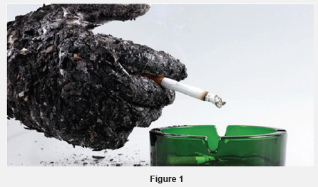 Click here to view Large Figure 1