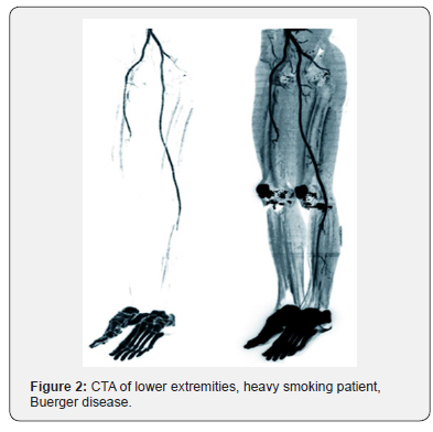 Click here to view Large Figure 2
