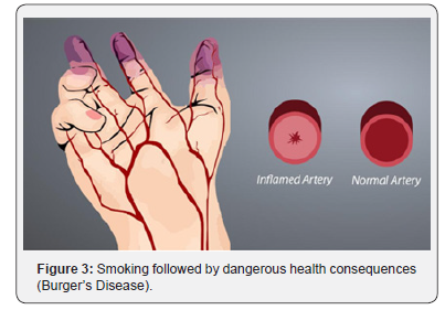 Click here to view Large Figure 3