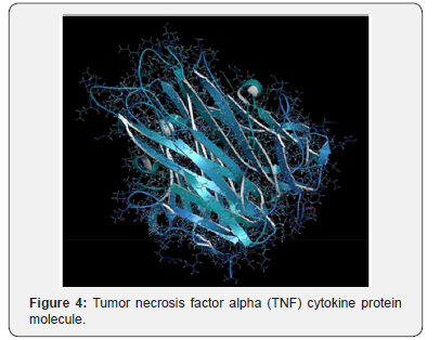 Click here to view Large Figure 4