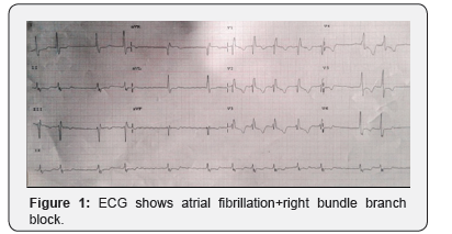 Click here to view Large Figure 1