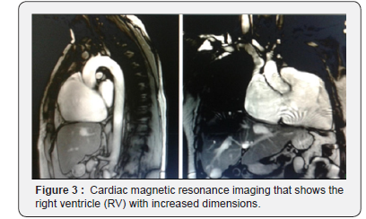 Click here to view Large Figure 3