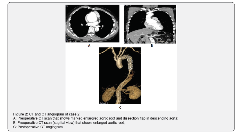 Click here to view Large Figure 2