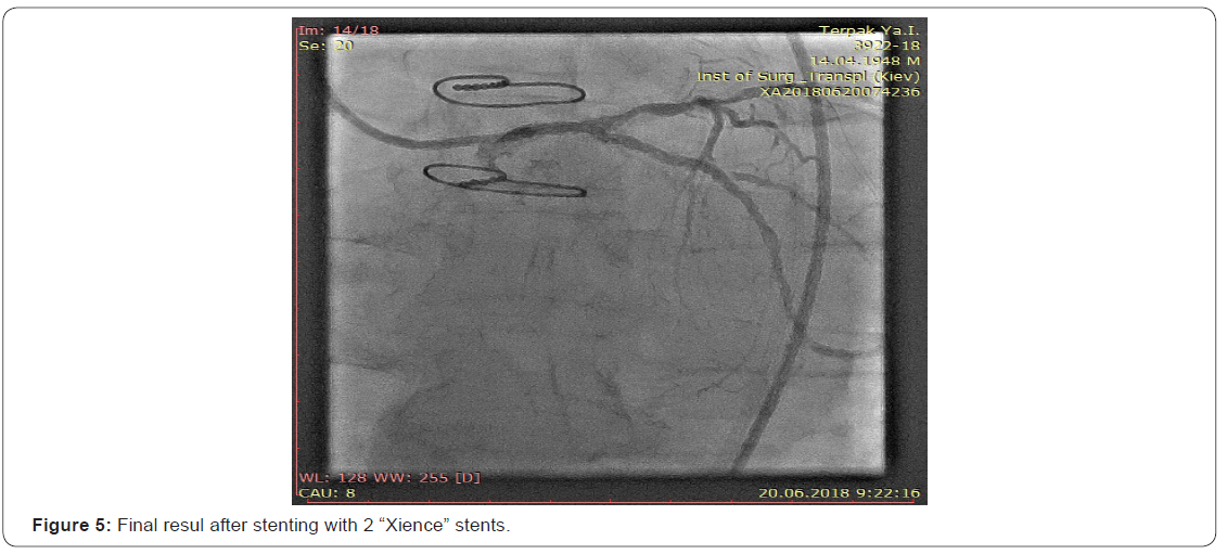 Click here to view Large Figure 5