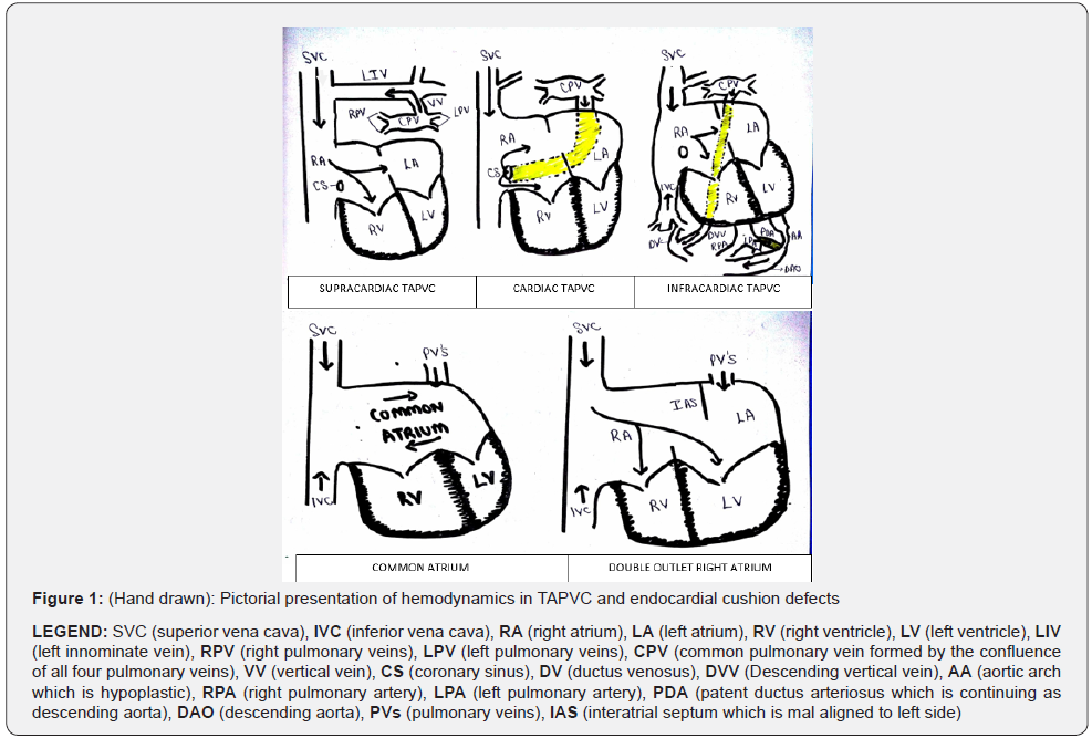 Click here to view Large Figure 1