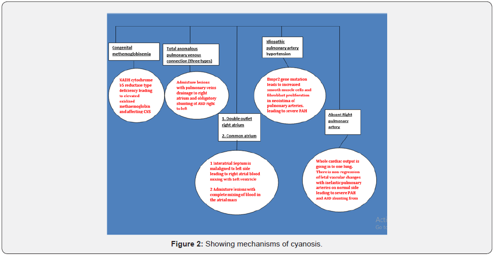 Click here to view Large Figure 2