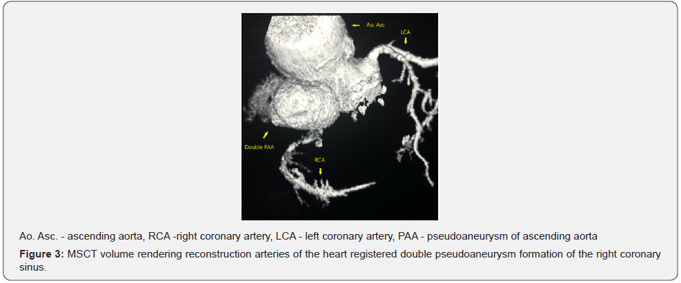 Click here to view Large Figure 3