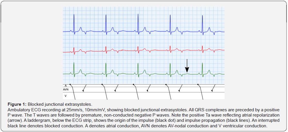 Click here to view Large Figure 1