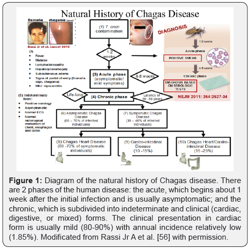 Click here to view Large Figure 1