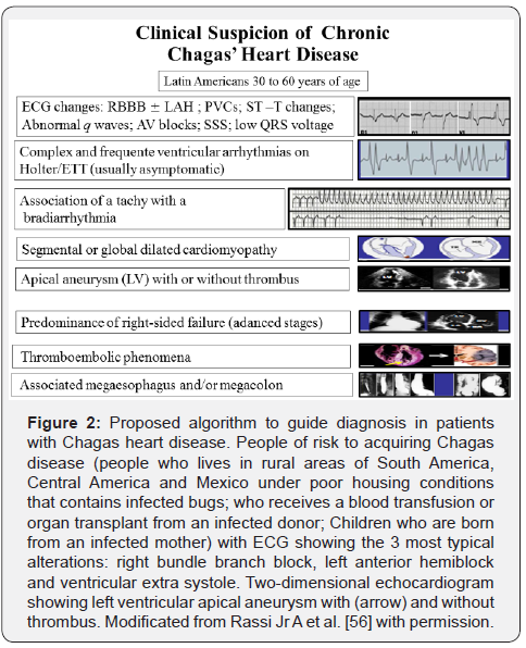 Click here to view Large Figure 2