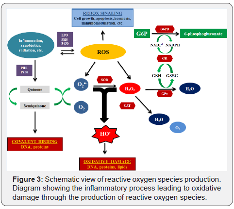Click here to view Large Figure 3
