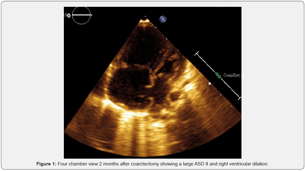 Click here to view Large Figure 1