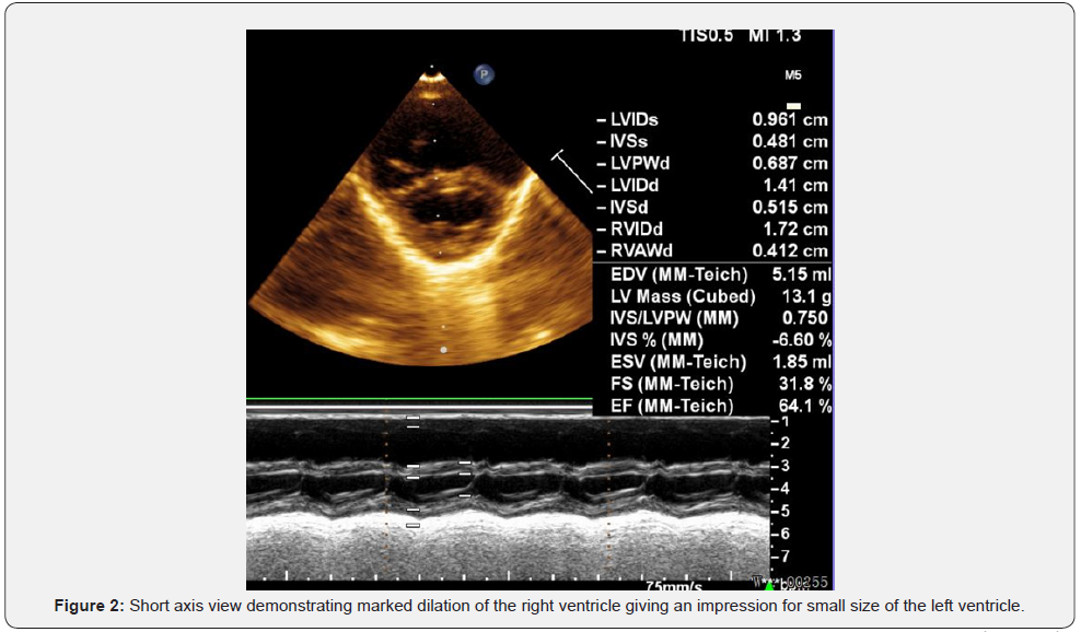 Click here to view Large Figure 2