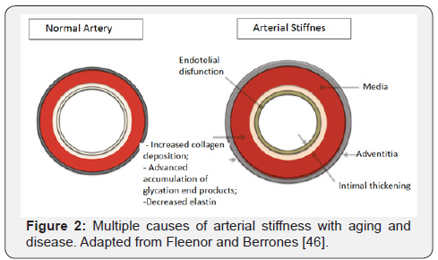 Click here to view Large Figure 2