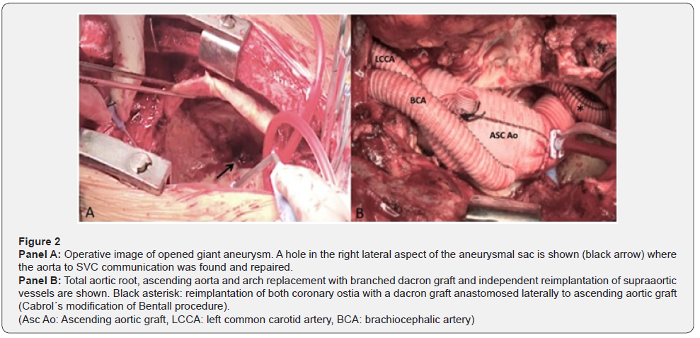 Click here to view Large Figure 2