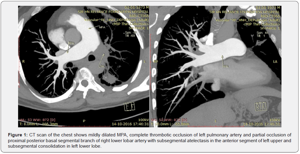 Click here to view Large Figure 1