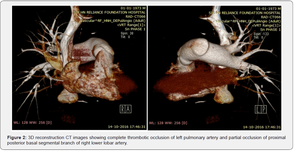 Click here to view Large Figure 2