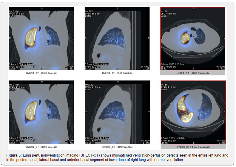Click here to view Large Figure 3