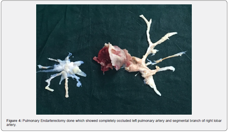 Click here to view Large Figure 4