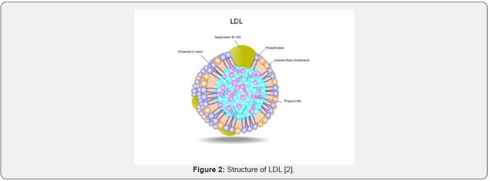 Click here to view Large Figure 2