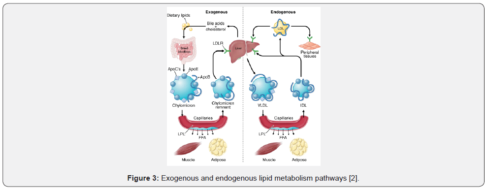 Click here to view Large Figure 3