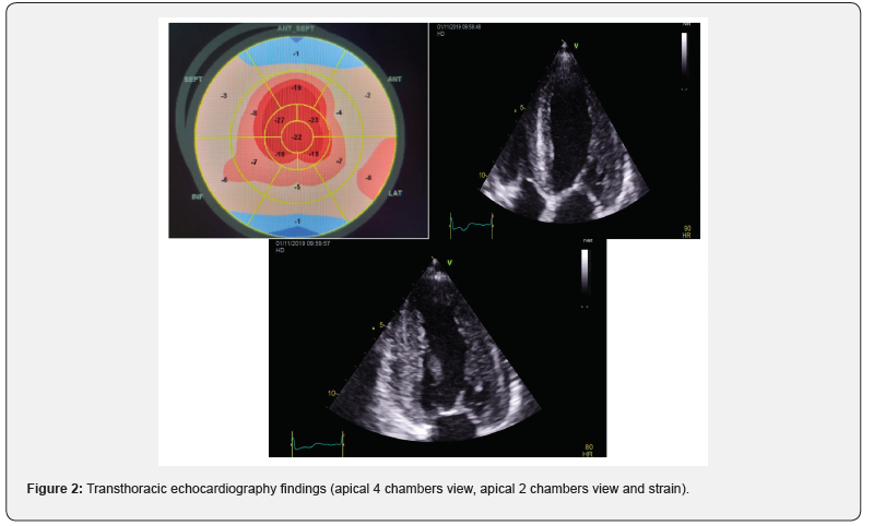 Click here to view Large Figure 2