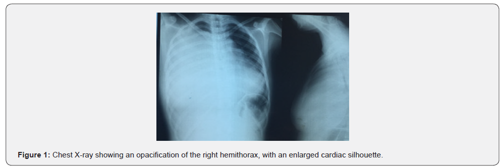 Click here to view Large Figure 1