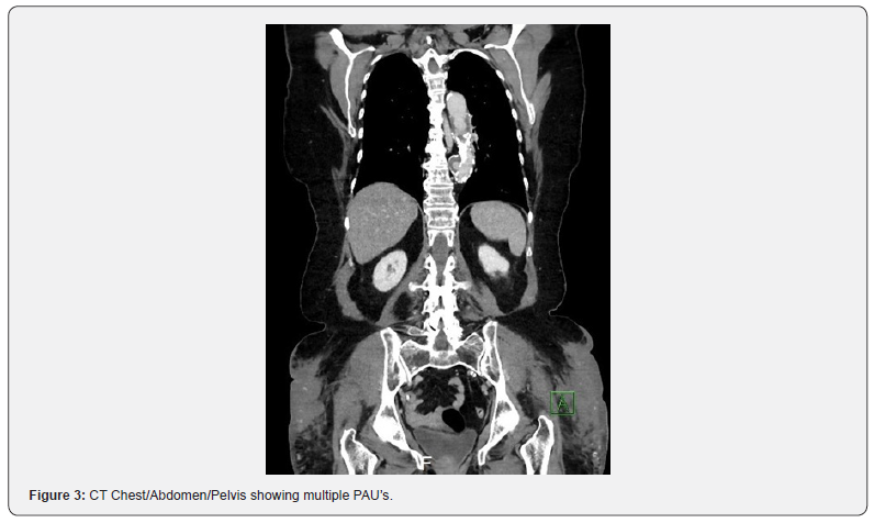 Click here to view Large Figure 3