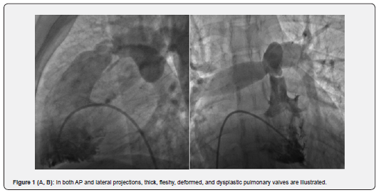 Click here to view Large Figure