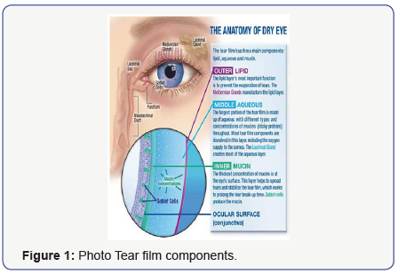 Click here to view Large Figure 1