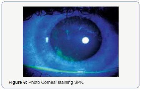 Click here to view Large Figure 6