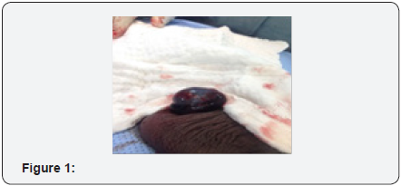 Click here to view Large Image 1