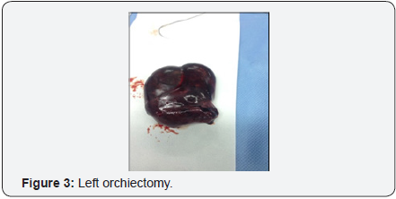 Click here to view Large Image 3