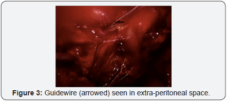 Click here to view Large Image 3