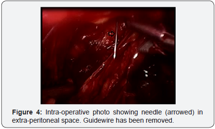 Click here to view Large Image 4