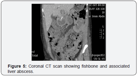 Click here to view Large Image 5
